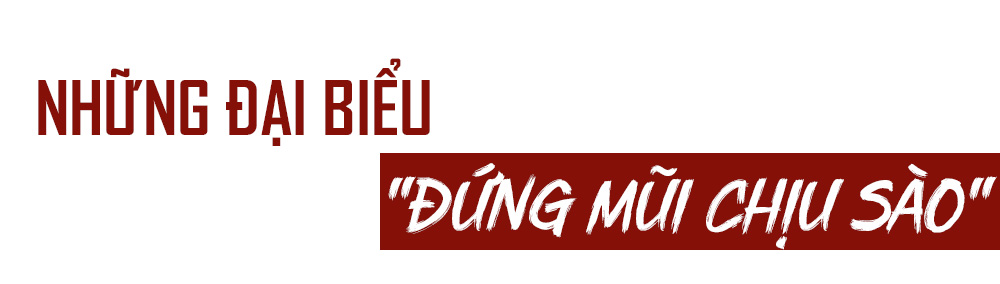 Nữ đại biểu Quốc hội và Hội đồng nhân dân: Dấu ấn của bản lĩnh và tinh thần vì cộng đồng - ảnh 12